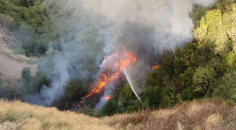 Gemlik'te orman yangını kontrol altına alındı