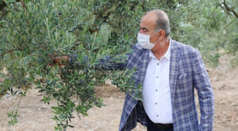 Mudanya Belediyesi'nden zeytinciye 'dolu' desteği