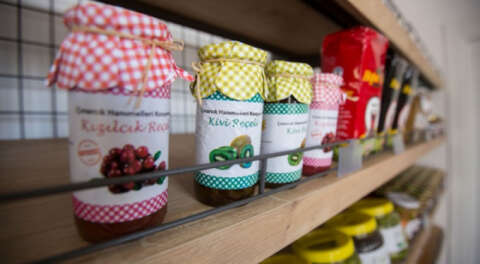 'Nilüfer Bostan'dan tarladan sofraya sağlıklı gıda