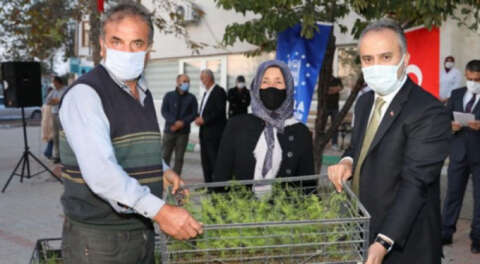 Orhanelili çiftçilere kuşkonmaz üretimi için destek