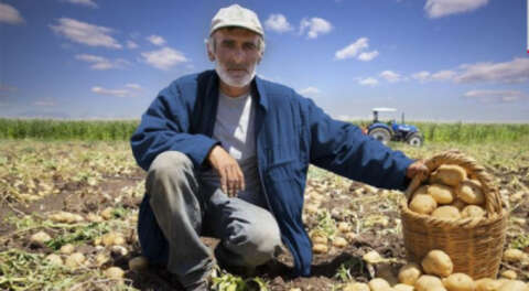 Tarımda 65 yaş ve üzerindekilere kısıtlama yok