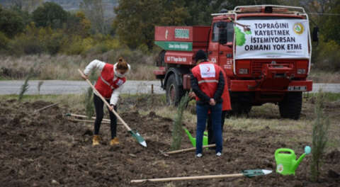 Bursa ve 6 ilde Milli Ağaçlandırma Günü etkinliği