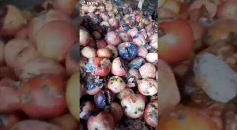 Bakanlıktan "çürük elma" videosuna inceleme