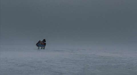 Seyid Çolak'ın ödüllü filmi 'Kapan' izleyici ile buluştu
