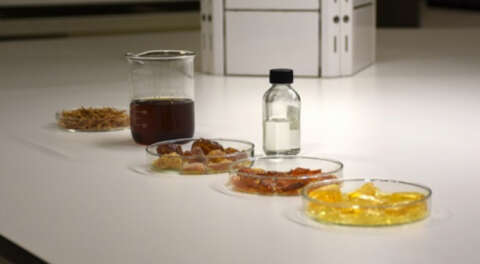 BTÜ'nün fenolik reçine projesine TÜBİTAK'tan destek