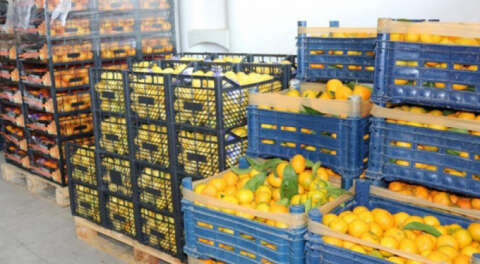 Bursa'da karantinadakilere vitamin destek paketi