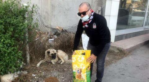 Yenişehir'de sokak hayvanları unutulmadı