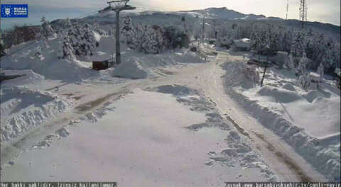 Sarıalan'ı kameradan 24 saat izleyebilirsiniz