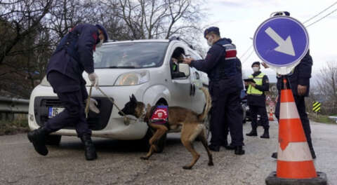 Uludağ'da denetimler sürüyor; 220 kişiye para cezası