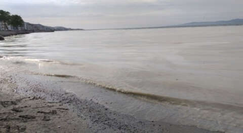 'Kapitalizmin ekolojik çöküş etmenleri sebebidir'