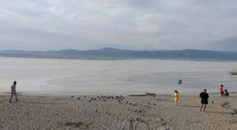 Bursa Su Kolektifi'nden imza kampanyası: Denizi Savun