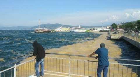 Mudanya kıyılarında müsilaj temizliği sürüyor