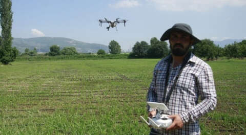 Bursa'da çeltik tarlaları drone ile ilaçlanıyor
