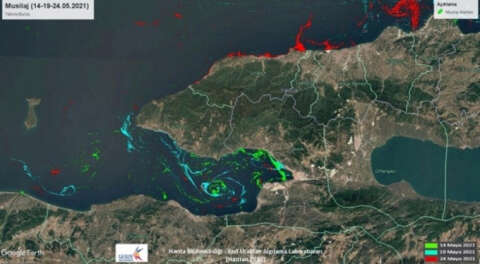 Marmara'daki müsilajın yoğunluk haritası çıkarıldı