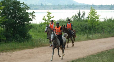 Atlı Dayanıklılık'ta Türkiye'nin en iyi  binici ve atları Bursa'da buluştu