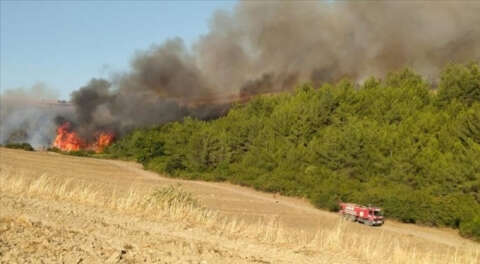 Bir orman yangını da Adana Aladağ'da; 10 kişi mahsur