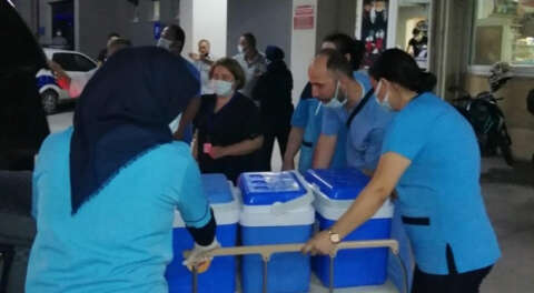 Kazada ölen kadının organları 5 hastaya umut olacak