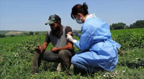 Bursa'da mevsimlik işçilere tarlada Kovid-19 aşısı