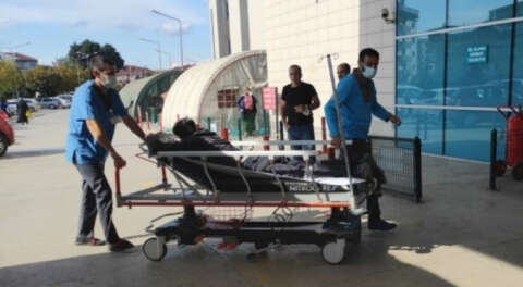 İnegöl'de ceviz ağacından&nbsp;düşen kişi yaralandı