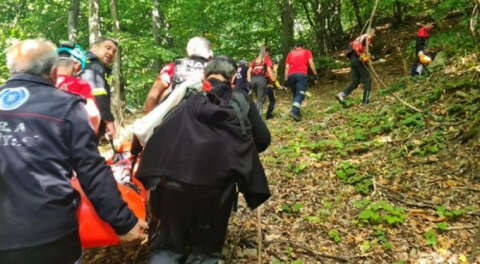 Ormanda kaybolan alzaymır hastasını köpek buldu