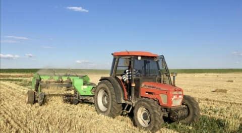 TÜİK: Tahıl ve sebzede bu yıl üretim azalacak