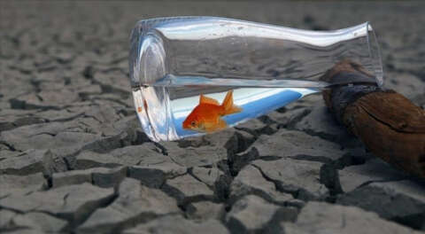 Dünyaya su ve iklim tedbirleri alma çağrısı