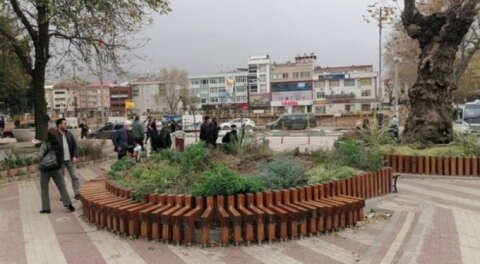 CHP'den Kestel Belediyesi'ne tepki: 'Uyarmıştık, ulu çınar devrildi'