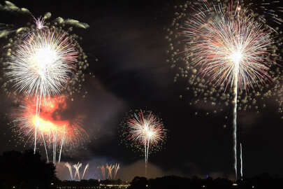 Havai fişek gösterileri kuşlara zarar veriyor