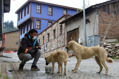 Sokak hayvanları için beslenme seferberliği
