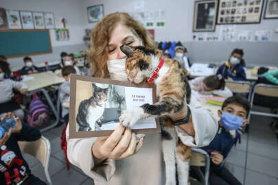 Bursa'da kedi Karamel'e özel karne!