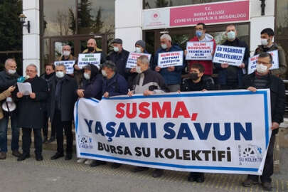 Bursa Su Kolektifi: Sermayenin iştahı gölleri kuruttu