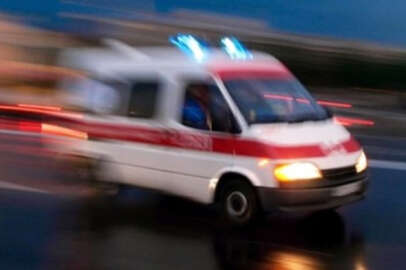 İnegöl'de kurt cinsi köpek çocuğa saldırdı