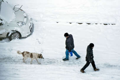 Bursa'da engelli ve hamile kamu çalışanlarına 2 gün idari izin