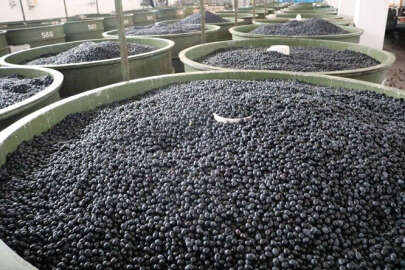 Marmarabirlik, ortaklarına 245 milyon lira ödeme yapacak