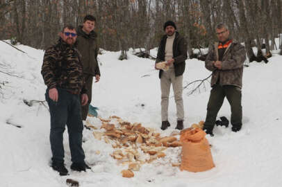 Bursa'da yaban hayvanları için doğaya yem bırakıldı