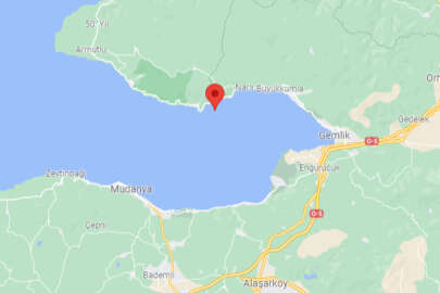 Gemlik Körfezi'ndeki deprem korkuttu