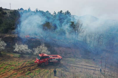 Bursa'da iki ayrı yerde orman yangını çıktı