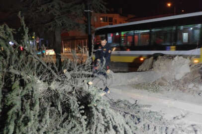 Bursa'da lodos; İnegöl'de ağaçlar devrildi