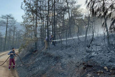 Bursa'daki yangında 60 hektarlık orman yandı