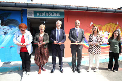 Nilüfer'de kediler artık daha rahat edecek