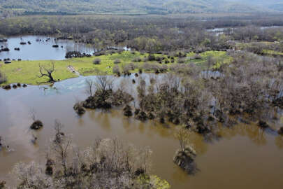 Doğa harikası Karacabey Longozu ziyaretçilerini bekliyor