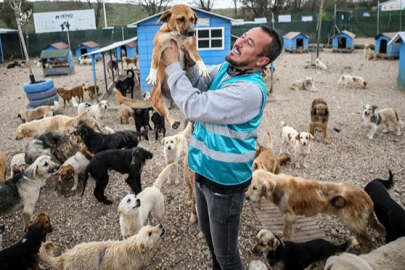 Kurduğu çiftlikte hayatını terk edilmiş hayvanlara adadı