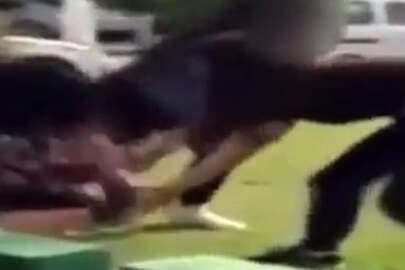 İki kız kardeş, tartıştıkları genç kızı parkta darp etti