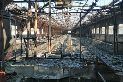 Karacabey'de tavuk çiftliğinde yangın; 4 bin tavuk telef oldu