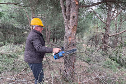 Yeşile sevdalı orman işçisi diktiği fidanlara çocukları gibi bakıyor