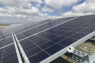 'Bir tek güneş paneli 50 ağaç kadar karbon emisyonunu azaltıyor'