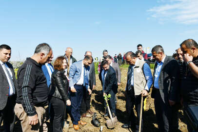 Mudanya'da incir fidanları toprakla buluştu