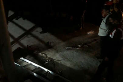 Büyükbaş hayvan çiftliğinde 4 kişi metan gazından öldü