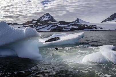 Antarktika'daki buzullar hızla eriyor