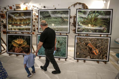 Bursa'nın "su altı dünyası" fotoğraf sergisi ve filmle tanıtıldı